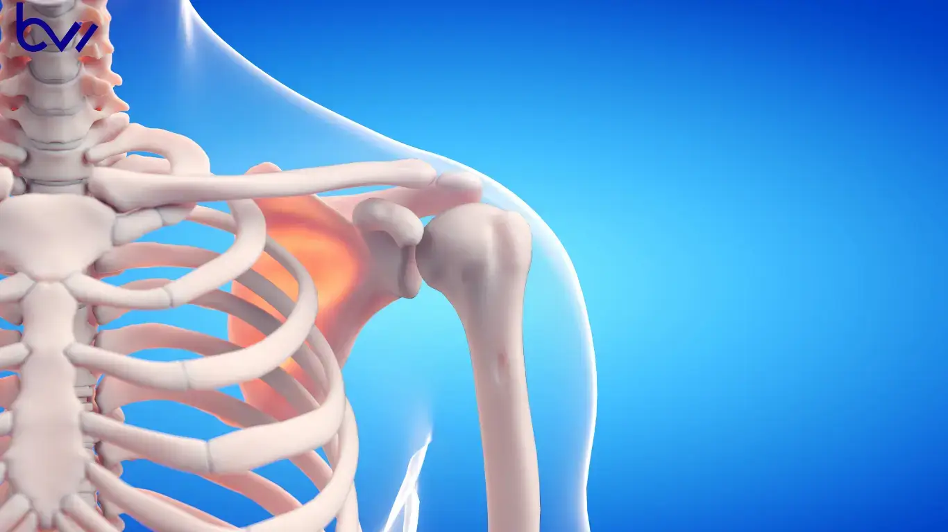 Why can only males donate bone marrow